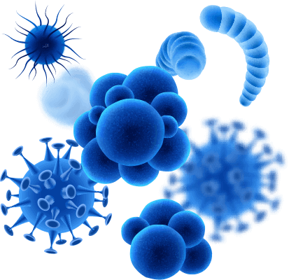 Representação de vírus e bactérias